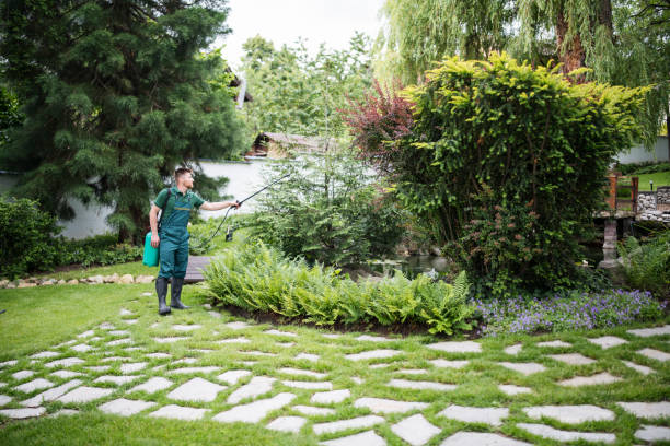Best Cockroach Control Services  in Shark River Hills, NJ