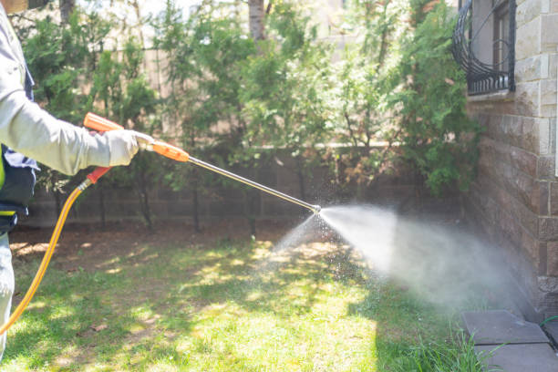 Best Termite Control Services  in Shark River Hills, NJ