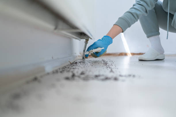 Best Best Pest Control Companies  in Shark River Hills, NJ